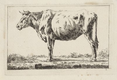 Boeuf debout, vers la gauche - Jacob Elias van Varelen