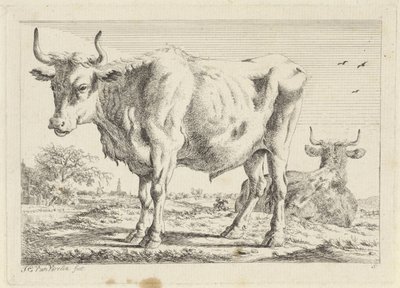 Bœuf debout et couché - Jacob Elias van Varelen