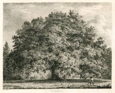 Le Chêne Chandos, Michendon House, Southgate, Londres - Jacob George Strutt