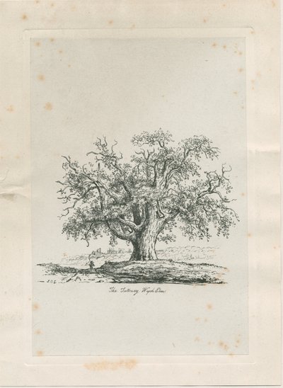 Tutbury - "Orme de Wych": gravure, vers 1820 - Jacob George Strutt