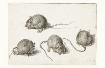 Quatre études d