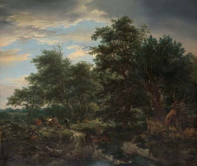 Scène de forêt - Jacob van Ruisdael