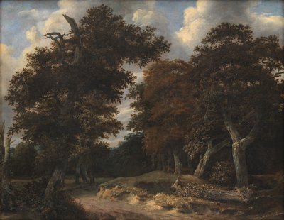 Route à travers une forêt de chênes - Jacob van Ruisdael