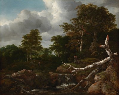 Scène de forêt - Jacob van Ruisdael