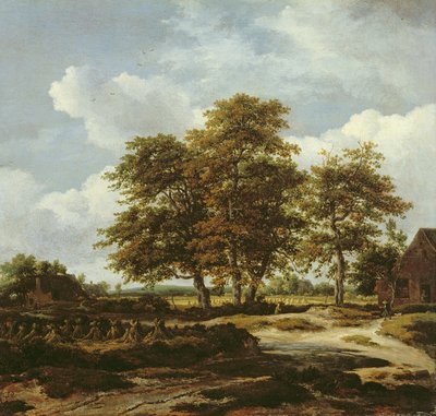 Paysage boisé avec champs de maïs - Jacob Isaaksz. or Isaacksz. van Ruisdael