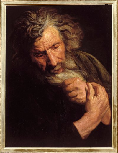 Tête de vieil homme - Jacob Jordaens