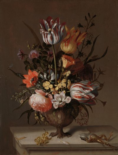 Nature morte avec un vase de fleurs et une grenouille morte - Jacob Marrel