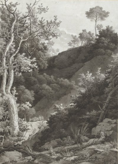 Pente boisée - Jacob Philipp Hackert