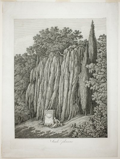Saule pleureur - Jacob Philipp Hackert