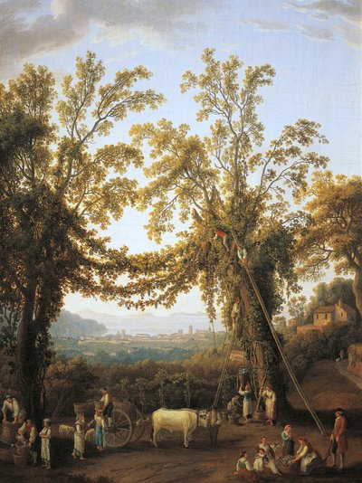 Automne, récolte près de Sorrente - Jacob Philippe Hackert