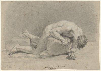 Nu masculin, couché sur le ventre sur un rocher - Jacob Smies