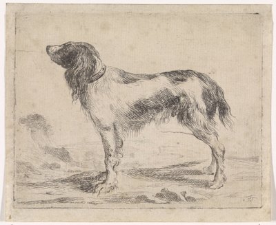 Chien debout - Jacob Toorenvliet