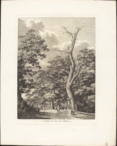 Entrée dans le bois de Marino - Jacob Wilhelm Mechau