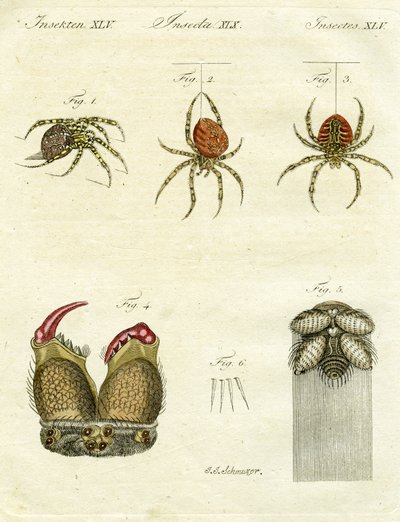 Illustration d