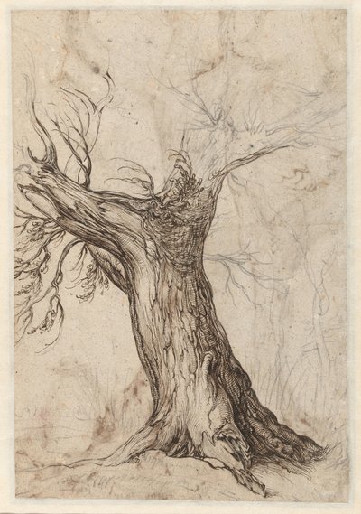 Châtaignier avec quelques arbres autour - Jacob de Gheyn (II)