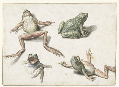 Quatre études d