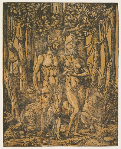 Adam et Ève, XVIe siècle - Jacob the Elder attr. to Lucius