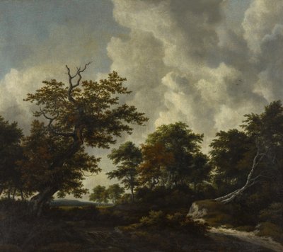 Paysage de bosquets avec un grand chêne et deux hêtres abattus près d