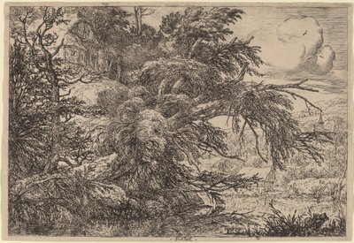 Cottage sur une colline - Jacob van Ruisdael