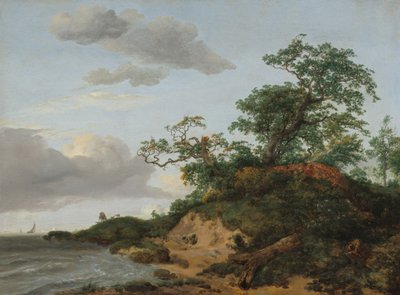Dunes près de la mer - Jacob van Ruisdael