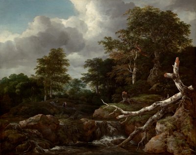 Scène de forêt, vers 1655 - Jacob van Ruisdael