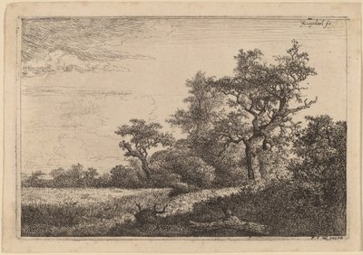 Champ de blé à la lisière d