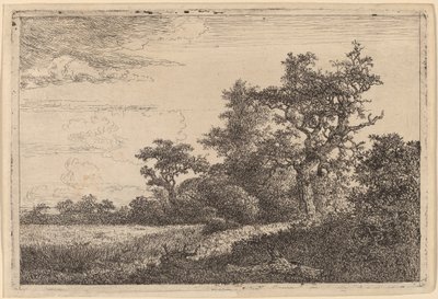 Champ de blé à la lisière d