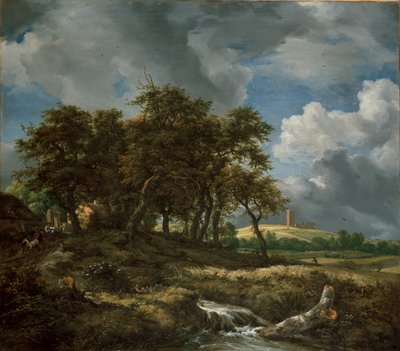 Paysage près de Muiderberg - Jacob van Ruisdael