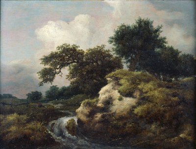 Paysage avec dune et petite cascade - Jacob van Ruisdael