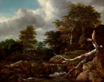 Scène de forêt - Jacob van Ruisdael