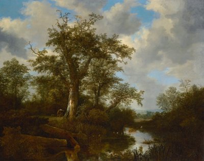 Paysage boisé avec du bétail traversant un ruisseau - Jacob van Ruisdael