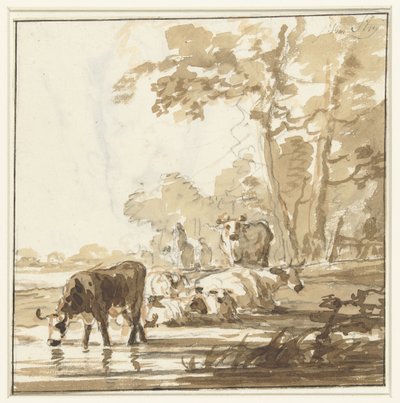 Bétail au repos au bord d