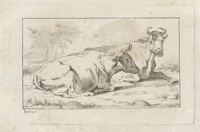 Deux vaches couchées - Jacobus Buys
