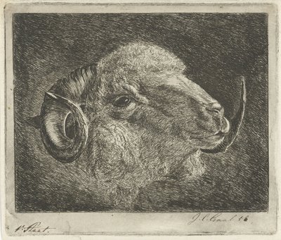 Tête de bélier avec des cornes tournées vers l