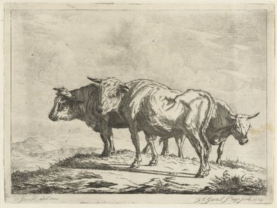 Trois bœufs - Jacobus Cornelis Gaal