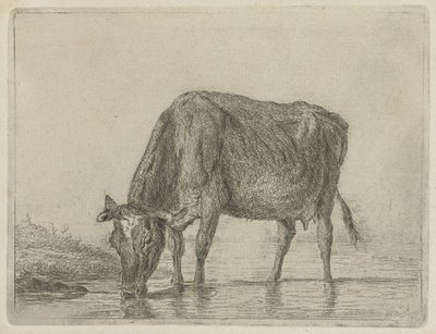 Vache buvant - Jacobus Cornelis Gaal