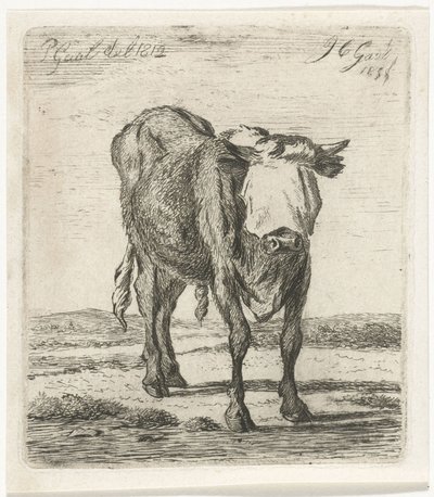 Taureau aveuglé - Jacobus Cornelis Gaal