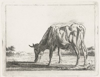 Vache broutant - Jacobus Cornelis Gaal