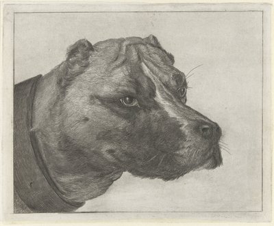 Tête de chien avec collier - Jacobus Cornelis Gaal