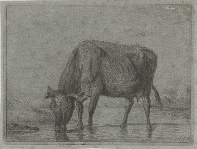 Vache buvant dans une flaque - Jacobus Cornelis Gaal