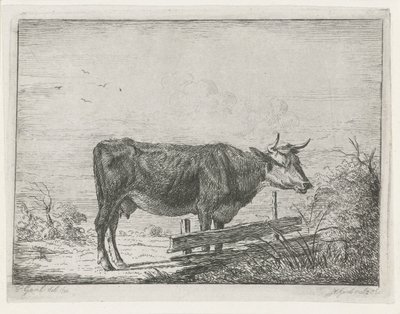 Vache debout près d