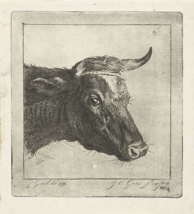 Tête de vache avec corde autour des cornes - Jacobus Cornelis Gaal