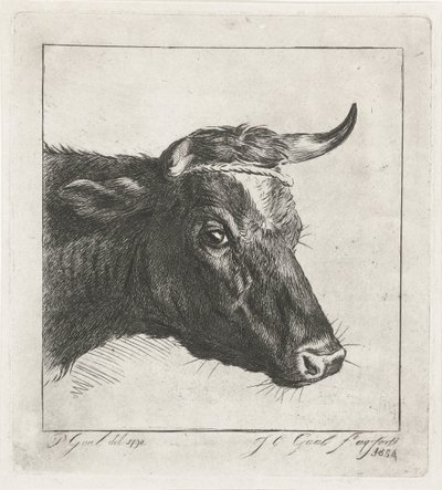 Tête de vache avec corde autour des cornes - Jacobus Cornelis Gaal