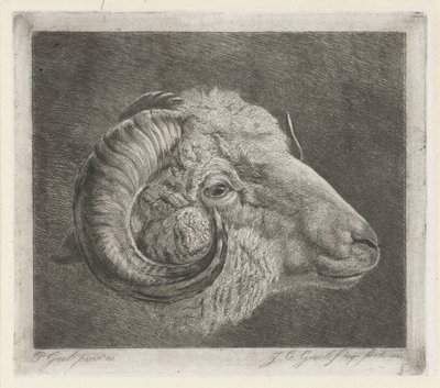 Tête de bélier avec corne courbée vers l