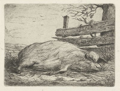 Sanglier couché - Jacobus Cornelis Gaal