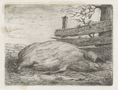 Sanglier couché - Jacobus Cornelis Gaal