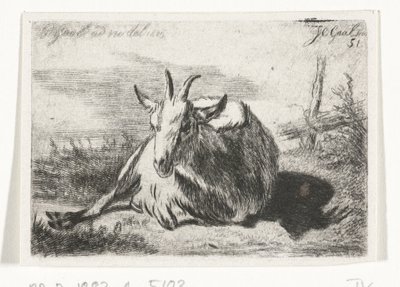 Chèvre couchée, vers la gauche - Jacobus Cornelis Gaal