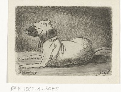 Chien couché avec collier - Jacobus Cornelis Gaal