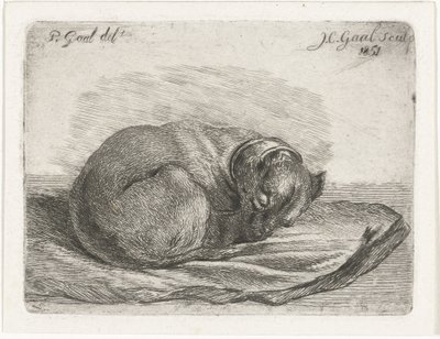 Chien endormi, couché sur une couverture - Jacobus Cornelis Gaal