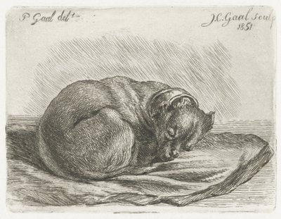 Chien endormi, couché sur une couverture - Jacobus Cornelis Gaal